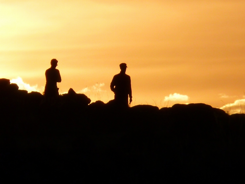 Orizzonte silhouette nube cielo