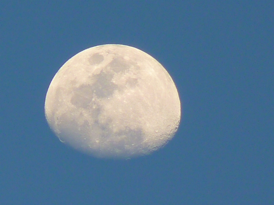 空 雰囲気 昼間 月