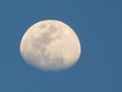 空 雰囲気 昼間 月 写真