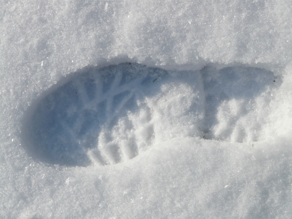 Nieve frío invierno ola