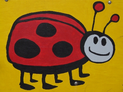 Animal insect paint ladybug Photo