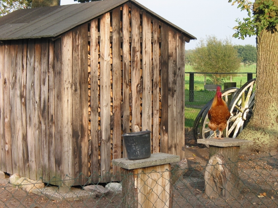 Wood farm house building