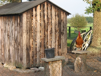 Wood farm house building Photo