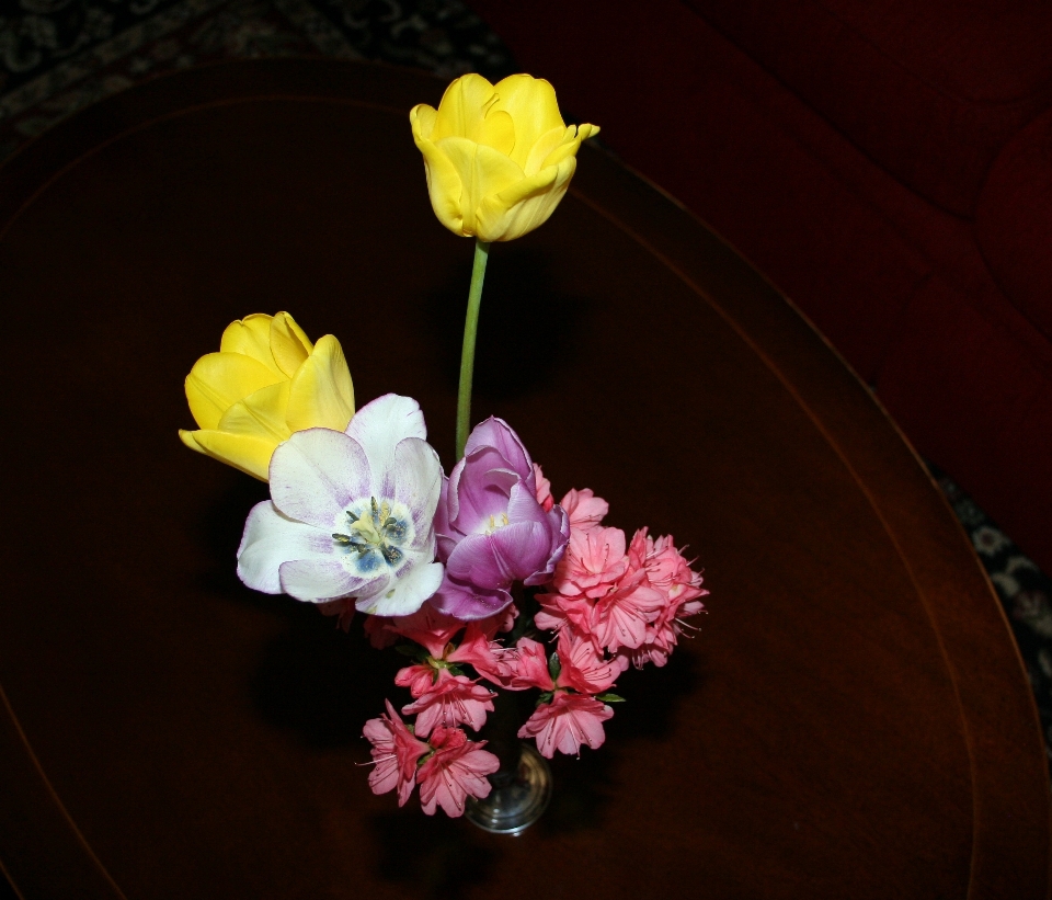 Blossom plant stem leaf