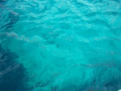 Foto Mare acqua oceano onda