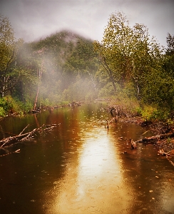 Landscape tree water nature Photo