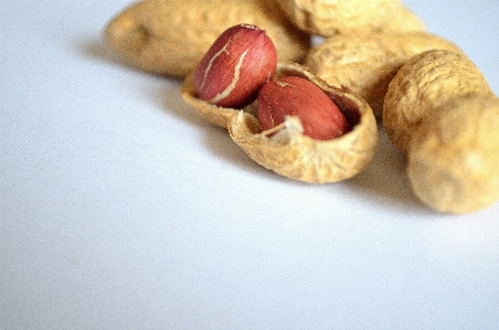 植物 フルーツ 食べ物 生産 写真