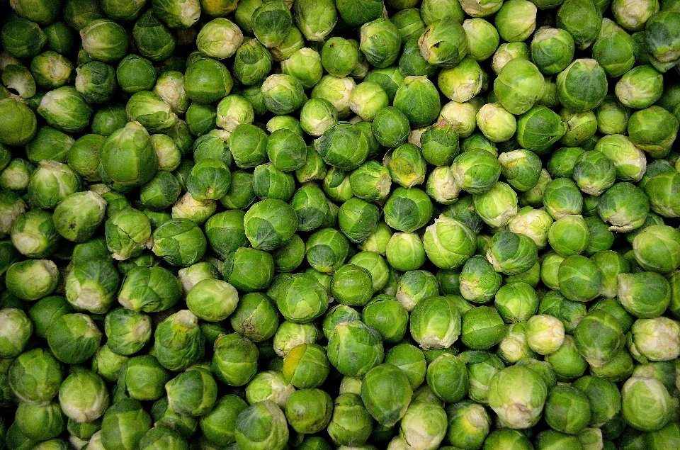 植物 水果 盘子 食物