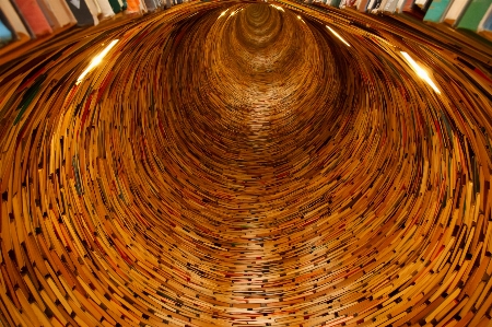 Wood tunnel reading endless Photo