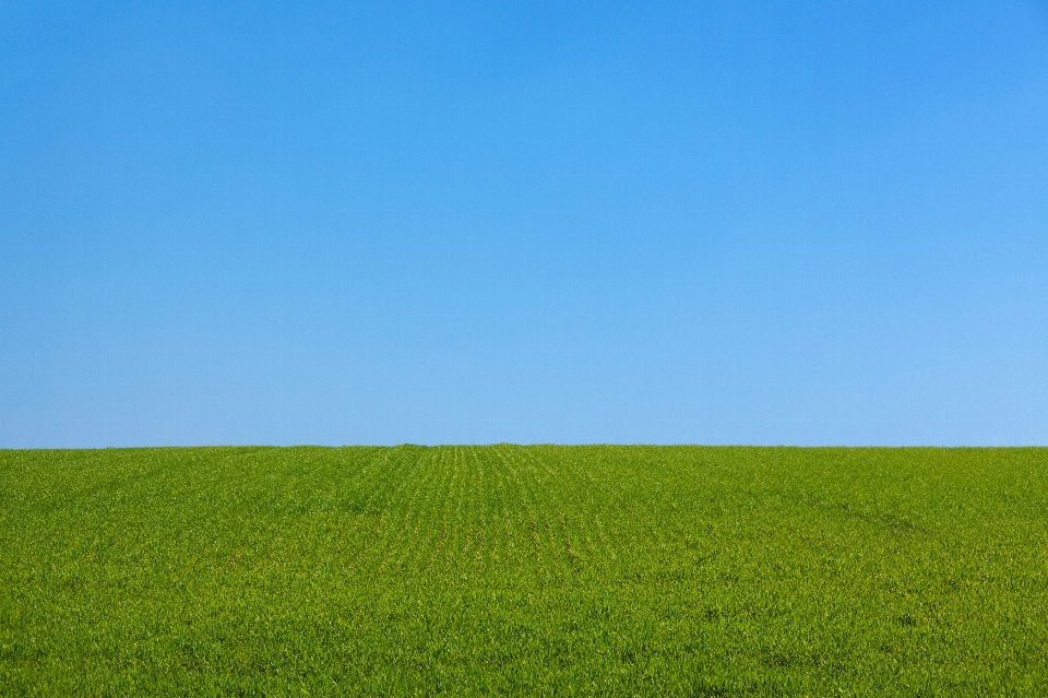 Landschaft natur gras draussen