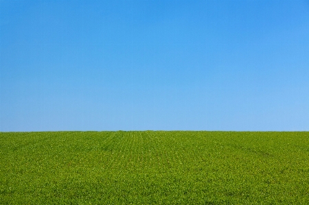 Landscape nature grass outdoor Photo