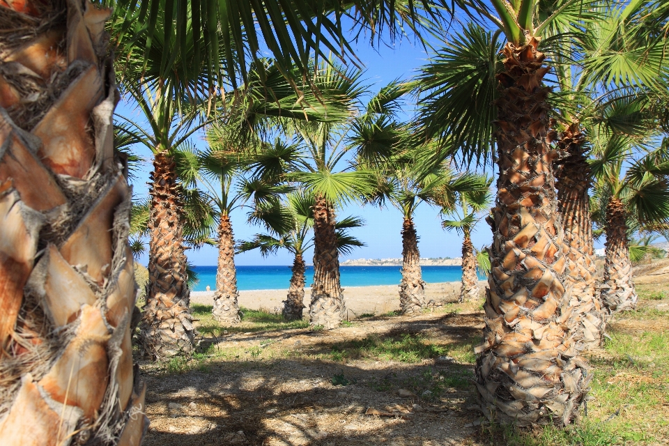 Beach landscape sea coast