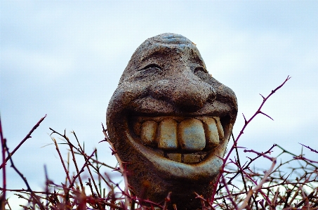 Monument statue macro smile Photo