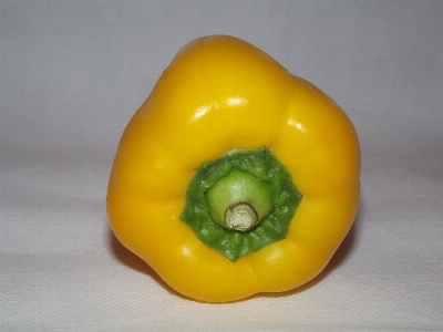 Plant fruit ripe bell Photo