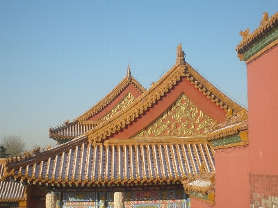 Architecture roof building palace Photo