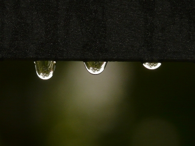 Water light rain raindrop Photo