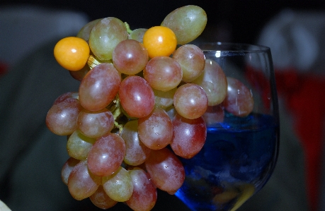 Liquid plant grape bunch Photo