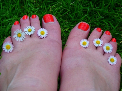 Hand grass flower petal Photo