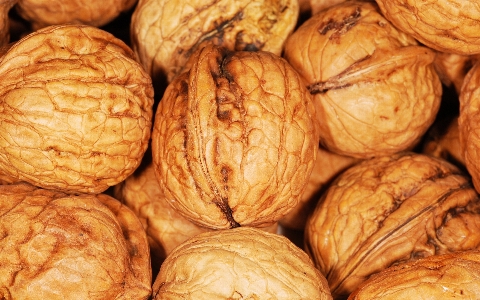 Food produce brown nut Photo