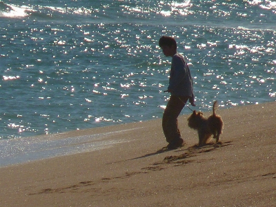 Foto Spiaggia mare costa sabbia