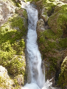 Foto água cachoeira riacho
 musgo
