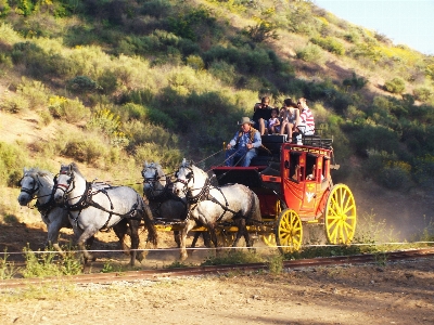 Foto Veicolo cavallo america agricoltura