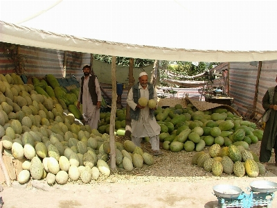 Anlage frucht essen produzieren Foto