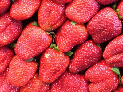 Plant raspberry fruit berry Photo