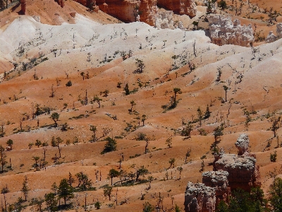 Landscape nature sand rock Photo