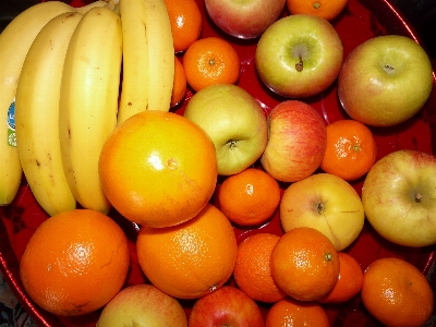 Apple plant fruit orange Photo