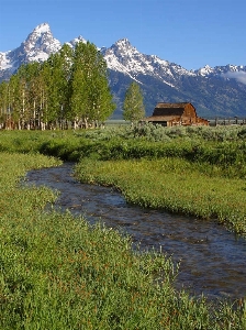 Landschaft natur sumpf
 wildnis
 Foto