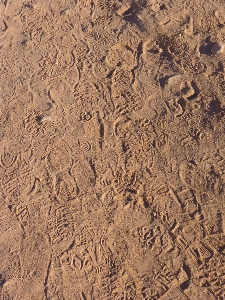 Sand wood track texture Photo