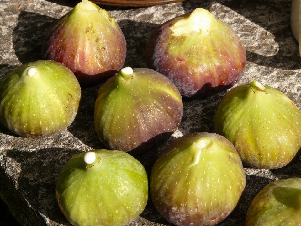 Apple 植物 水果 食物