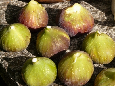 Apple 植物 フルーツ 食べ物 写真