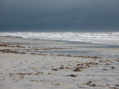 Beach sea coast water Photo