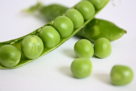 Plant fruit summer dish Photo