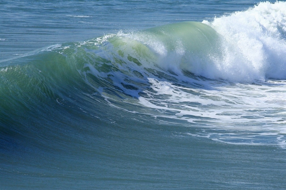 Beach sea coast water