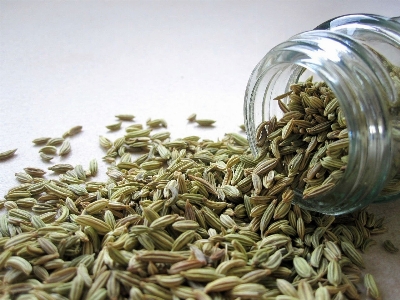 植物 ガラス jar 食べ物 写真