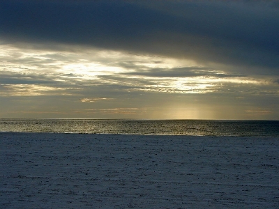 Beach sea coast nature Photo