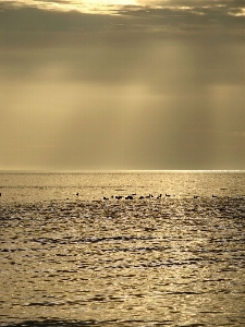 Beach sea coast water Photo