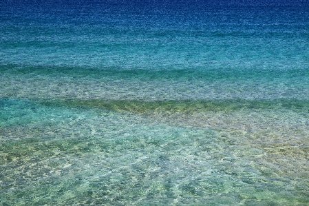 Beach sea coast water Photo