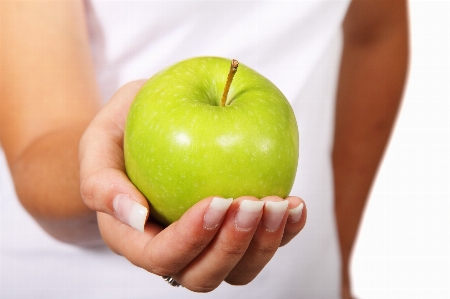 Hand apple plant fruit Photo