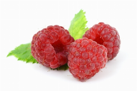 Plant raspberry fruit berry Photo