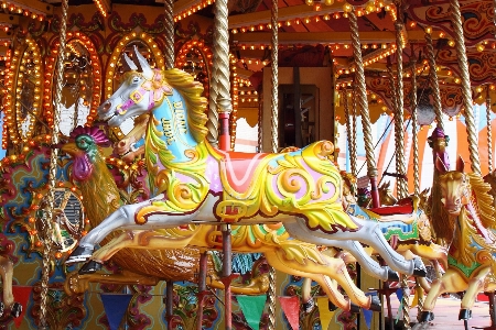 Recreation carnival amusement park horse Photo