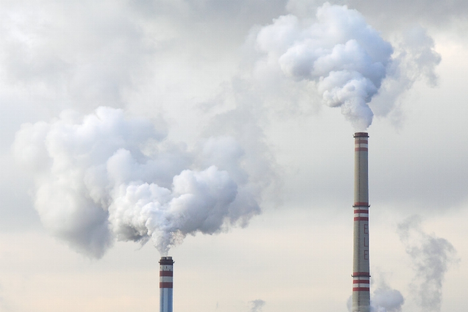 Cloud plant steam building