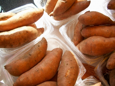 Anlage essen zutat
 produzieren Foto