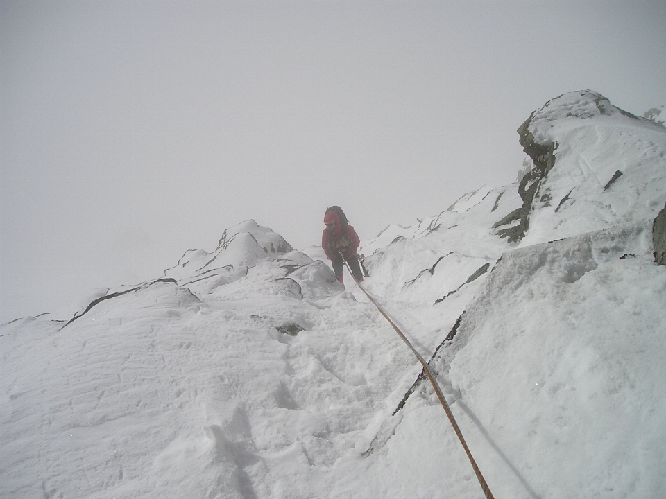 Montagne neige hiver brouillard