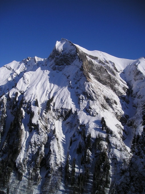 Montanha neve frio inverno