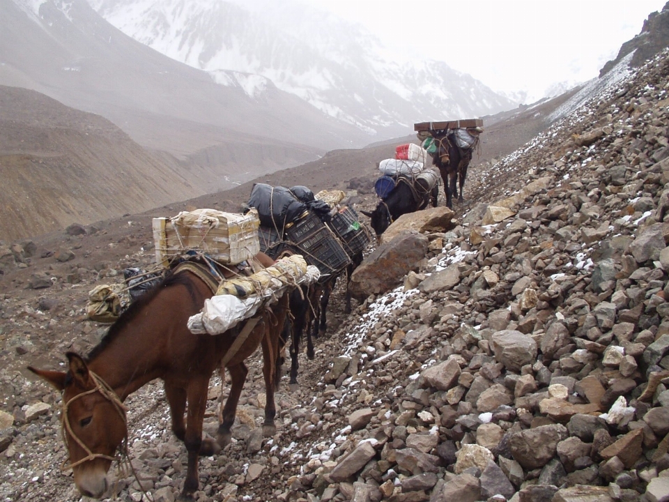 Mountain valley range transport