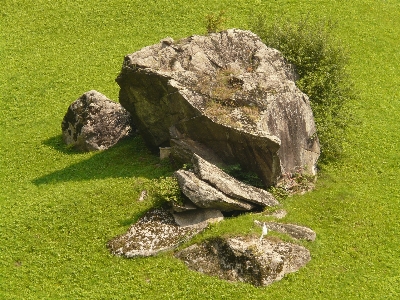 Grass rock lawn meadow Photo